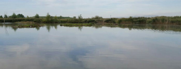 A.N.P.I.L. Parco della Piana Podere Qerciola is one of Niccolò : понравившиеся места.