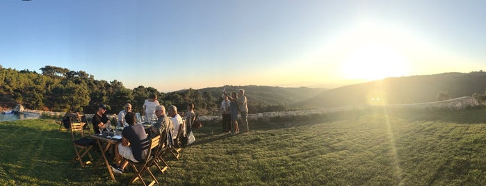 Ayda Bağları / Ayda Winery is one of Lugares favoritos de Banu.