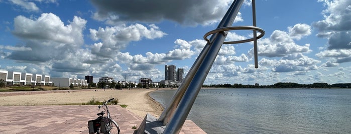 Zevenhuizerplas is one of Best Dutch fishing lakes.