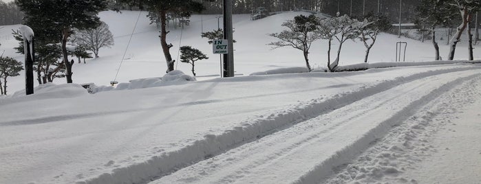 岩山パークスキー場 is one of 東北の行くべきスキー場.