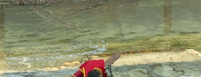 Samut Prakarn Crocodile Farm and Zoo is one of สมุทรปราการ, ฉะเชิงเทรา.