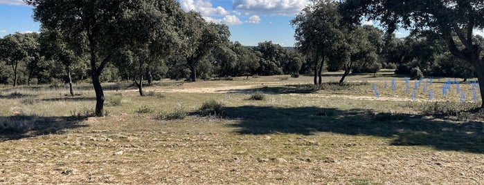 Monte de Boadilla is one of 🌳Rutas Verdes - MAD.