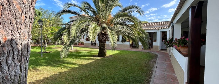 Hostal Restaurante Las Acacias is one of Caños de meca.