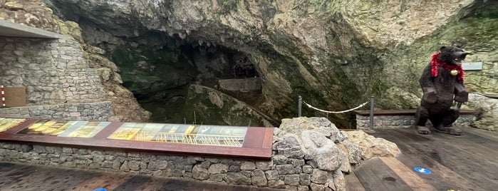 Cueva del Castillo is one of De turismo por Cantabria.
