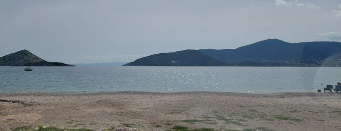 Agios Spyridonas Beach is one of Been to No2.