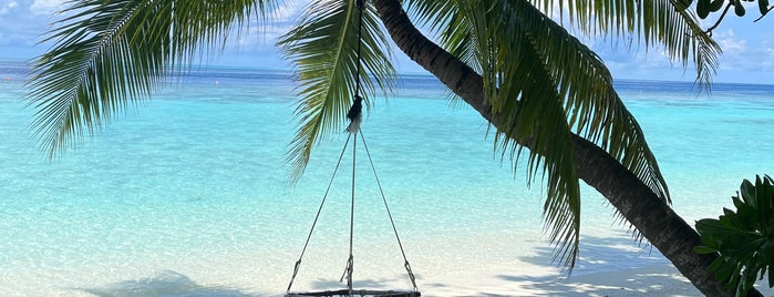 Vilamendhoo Island Resort & Spa is one of Malediven.