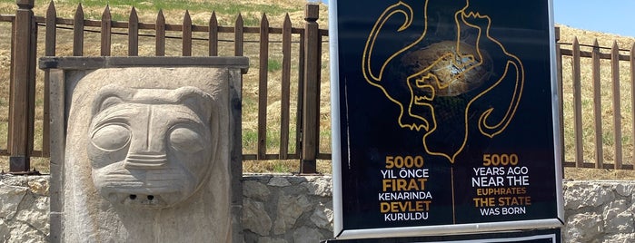 Arslantepe Höyüğü is one of Müze Kart.