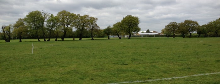 Blenheim Park is one of James’s Liked Places.