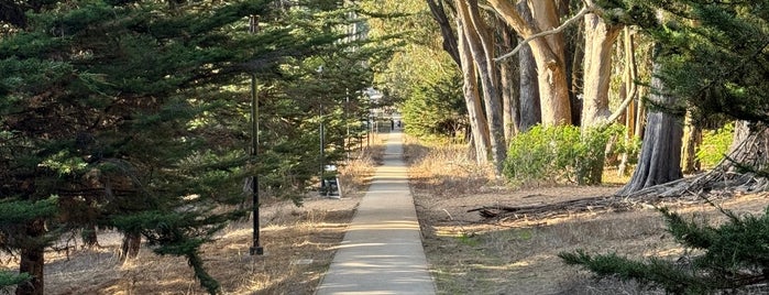 Lover's Lane is one of Hiking and viewing SF.