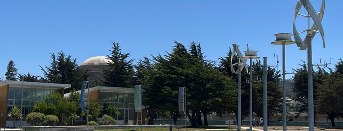 Wind Turbines at Crissy Field is one of Dog Friendly SF.