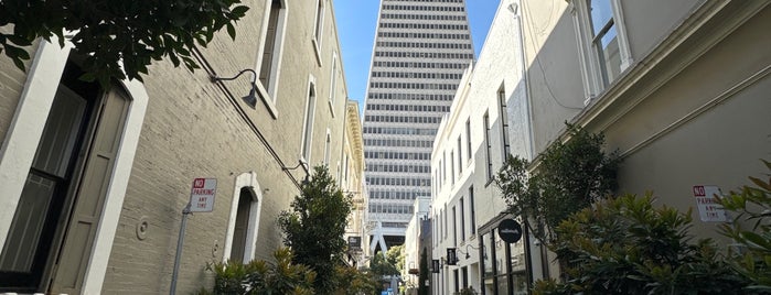 Hotaling Alley is one of SAN FRAN / CALI / SILICON VALLEY 2017.