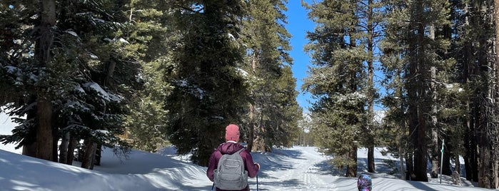 Kirkwood Lake is one of Out of town.