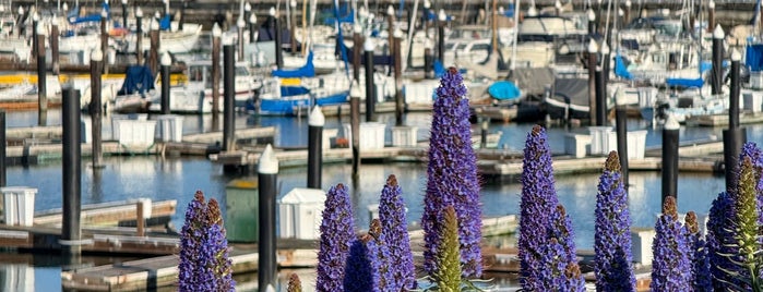 Fort Mason Marina is one of Epic spots with DEFINE.