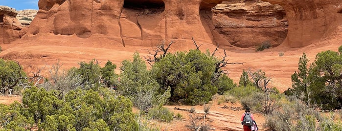 Tapestry Arch is one of Southwest.