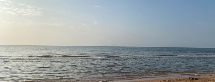 Пляж в Новоотрадном is one of Крым.