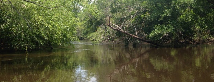 Carolina Heritage Outfitters is one of Charleston Musts.