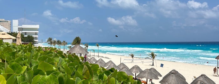 Playa is one of Cancun Delights.