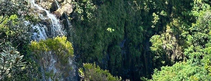 Alexandra Falls is one of Mauritius.