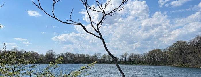 Silver Lake Park is one of Staten Island.