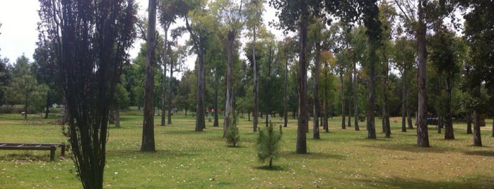 Xochitla Parque Ecológico is one of สถานที่ที่ Sergio ถูกใจ.