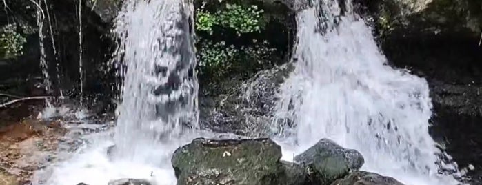 Todtnauer Wasserfall is one of สถานที่ที่ Petri ถูกใจ.