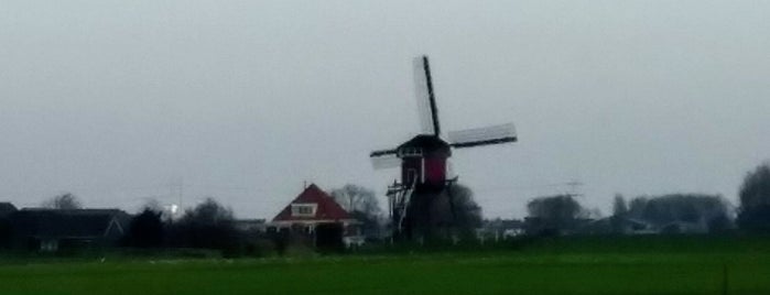 Blauwe Molen is one of Dutch Mills - South 2/2.