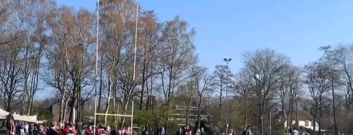 Rugby Club Bulldogs Almere is one of Tempat yang Disukai Petri.