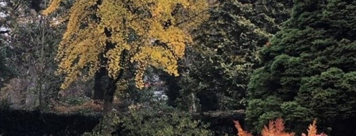 Trompenburg Tuinen & Arboretum is one of Lugares favoritos de Petri.