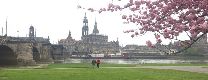 Elbwiesen is one of Dresden..
