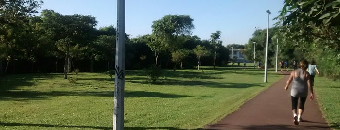 Parque Cambuí is one of Parques Curitiba.