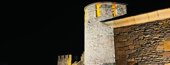 Ponferrada is one of Camino de Santiago.