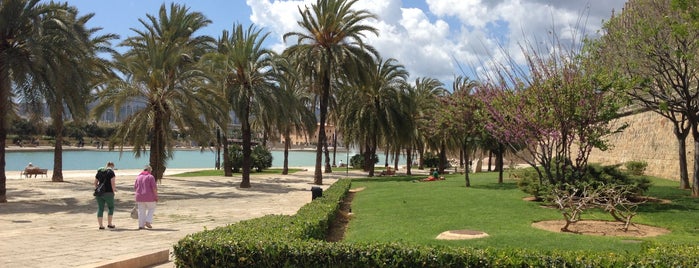Parc de la Mar is one of Espana.