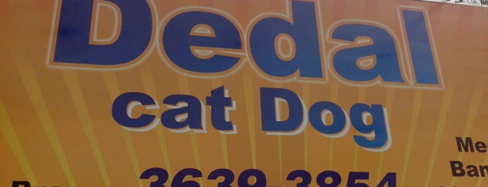 Dedal Cat Dog is one of Novidades.