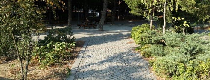 Bosna Parkı is one of Locais curtidos por Mehmet.