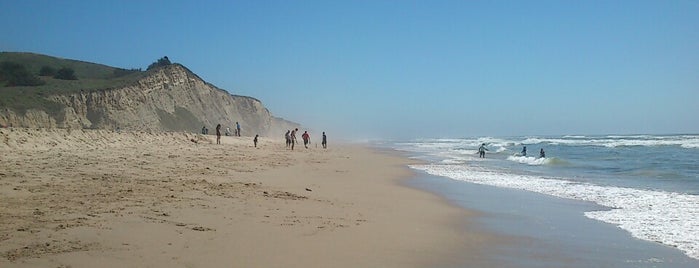 San Gregorio State Beach is one of Favorite SF Bay Area haunts.