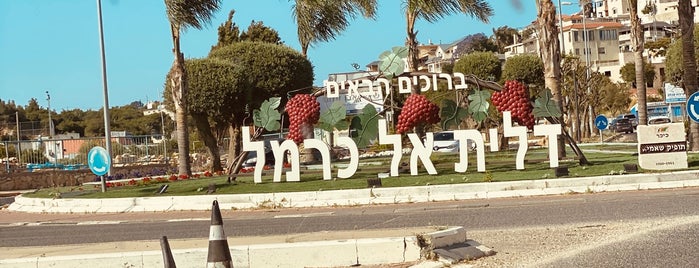 Daliyat El Carmel is one of Israel.