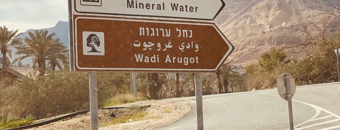 Wadi Arugot is one of Lugares favoritos de Laura.