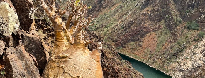 Diksam Plateau is one of ME/UAE- To Do.