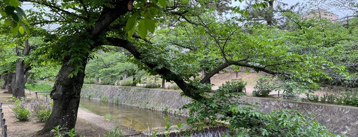 夙川河川敷緑地 is one of 公園.