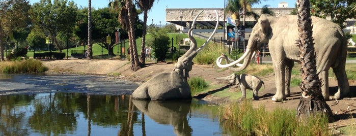La Brea Tar Pits & Museum is one of Take out of towners to.