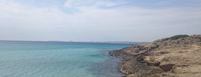 Punta della Suina is one of Posti che sono piaciuti a Анна.