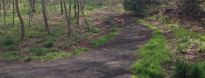 Greenbank Drive Community Woodland is one of Edinburgh.