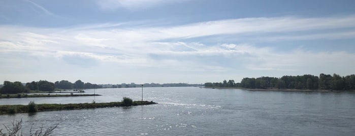 Spazieren am Rhein in Rees