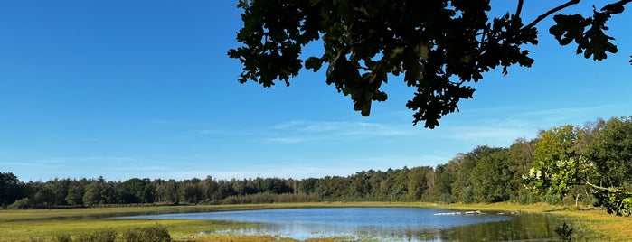 Natuurgebied Herperduin is one of Top places in Oss & vicinity.