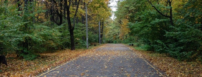 Олимпийская аллея is one of สถานที่ที่ Christian ถูกใจ.