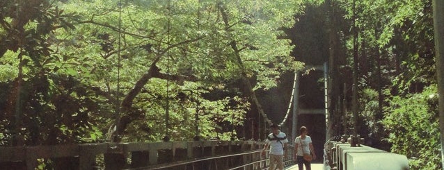 楓橋 is one of みたけ渓谷.