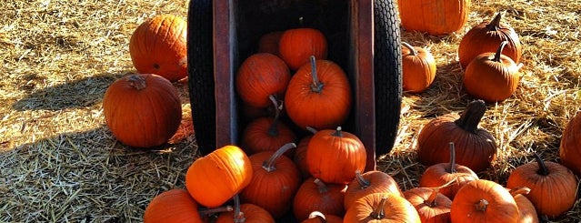 Stanly Ranch Pumpkin Patch is one of Christopherさんのお気に入りスポット.