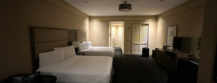 Opera House Hotel is one of Kickin' it in the Bronx!.