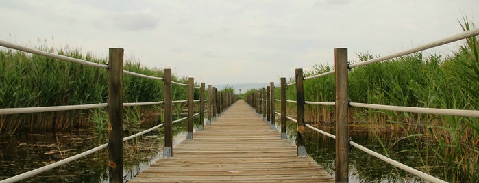 Gülşah Sitesi is one of สถานที่ที่ Fahreddin ถูกใจ.