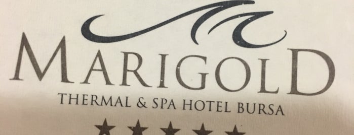 Marigold Termal & Spa Hotel is one of BURSADAN KARELER.